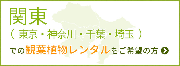 関東（東京・神奈川・千葉・埼玉）の観葉植物レンタルをご希望の方