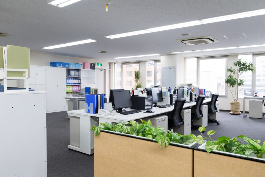 オフィス用観葉植物の効果的な置き方 飾り方を目的別に紹介 大阪 京都の観葉植物レンタル Com