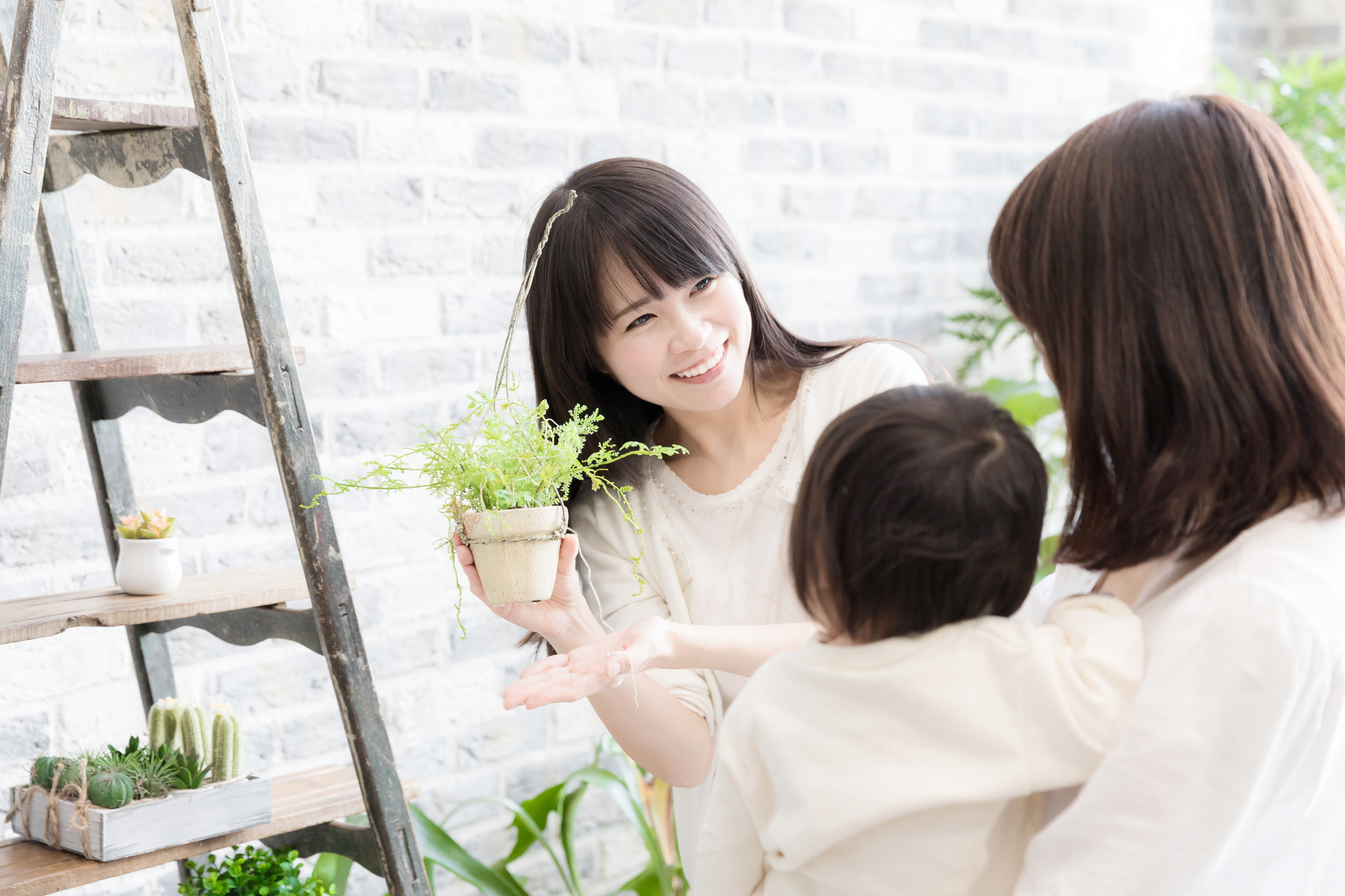 気をつけたい危険な観葉植物 小さいお子様やペットのいる室内での注意点 大阪 京都の観葉植物レンタル Com