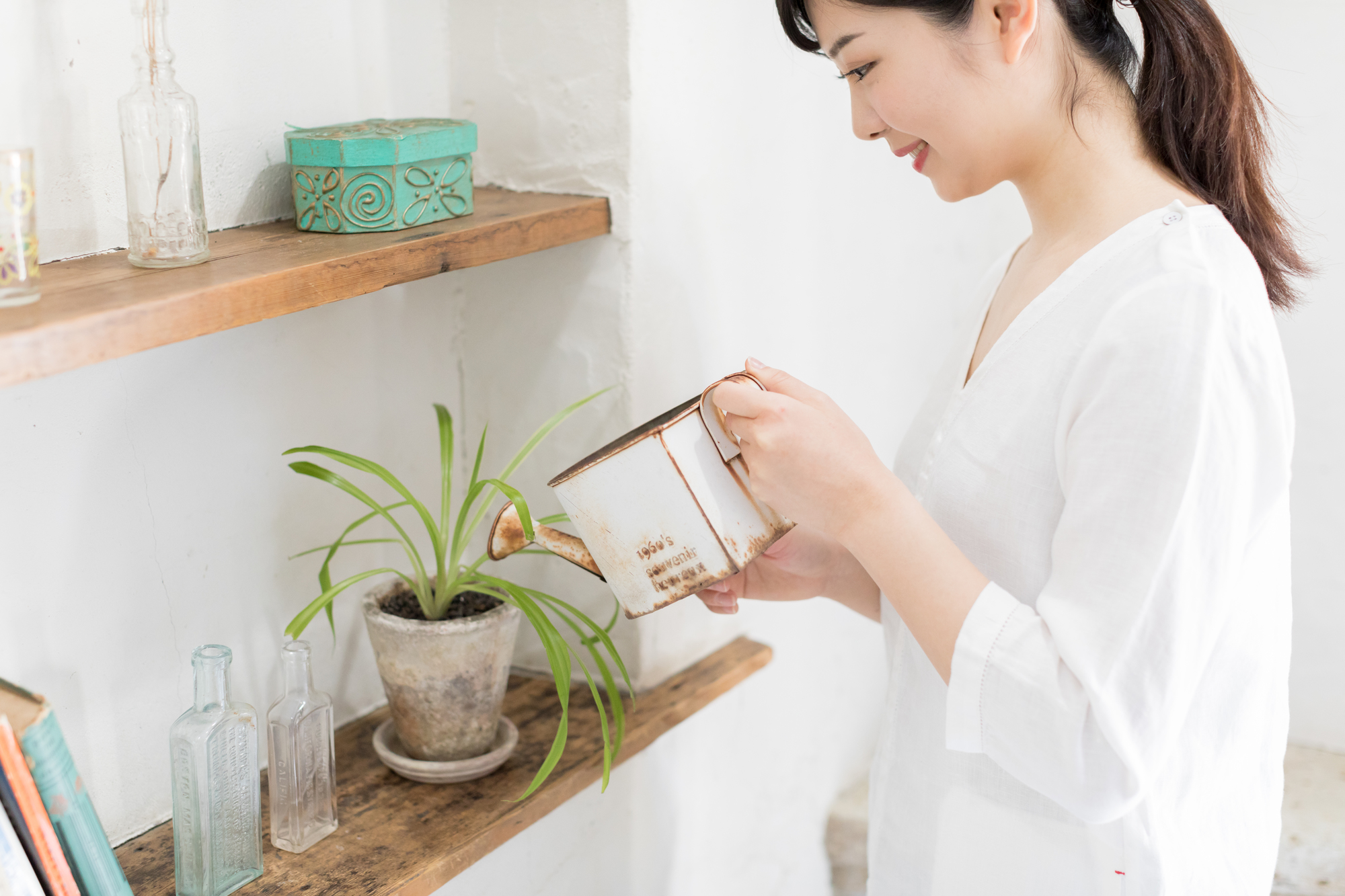 観葉植物の水やりのコツ 頻度 タイミングや量は 大阪 京都の観葉植物レンタル Com